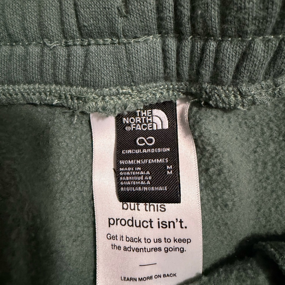 The North Face Evolution Sweatpants - image 4